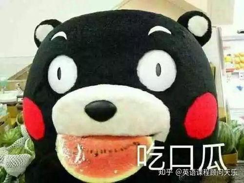 吃瓜群众表示你看不懂,为何他们总说你看不懂