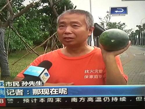 张家港吃瓜群众事件,网络舆论的风暴与反思