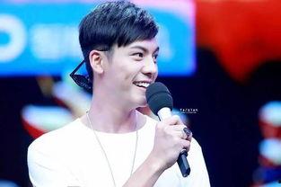 吃瓜群众陈伟霆完整版,吃瓜群众眼中的娱乐圈风云人物