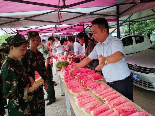 襄城吃瓜群众新闻,最新新闻事件深度解析