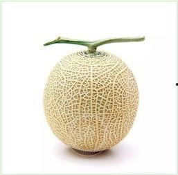 吃瓜群众彩泥,揭秘网络红人的幕后故事