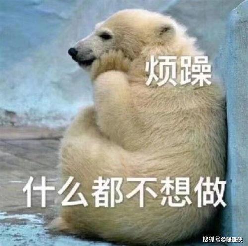 吃瓜群众免费图片高清,揭秘吃瓜群众免费高清图片背后的故事