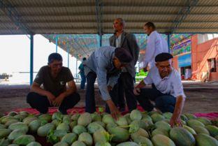 新疆的吃瓜群众是什么,独特地域文化的生动写照