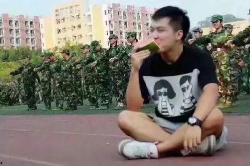 甜蜜诱惑吃瓜群众,揭秘吃瓜群众的疯狂追剧热潮