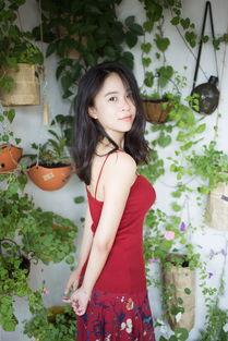 路瑶和她的吃瓜群众们,一场全民娱乐的狂欢盛宴