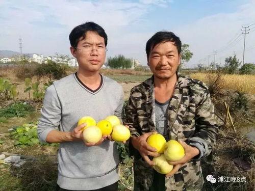 吃瓜群众969,一场全民参与的娱乐盛宴