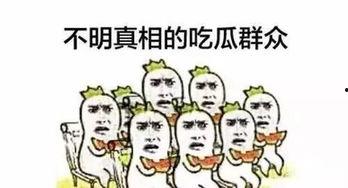 当吃瓜群众了,揭秘娱乐圈幕后故事