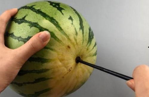 吃瓜群众切西瓜视频,吃瓜群众教你轻松切西瓜