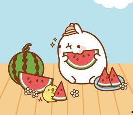 吃瓜群众大胖胖,吃瓜群众的美食探索之旅