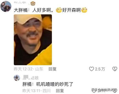 吃瓜群众大胖胖,吃瓜群众的美食探索之旅