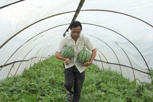 一群吃瓜的群众看戏,吃瓜群众看戏众生相