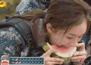 吃瓜群众男主角名字,揭秘男主角“瓜瓜”的瓜田奇遇