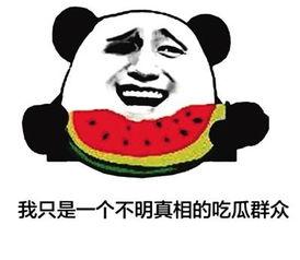 吃瓜群众用语大全,揭秘网络热词背后的趣味与智慧