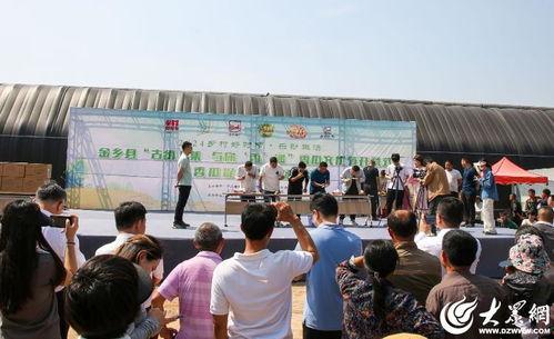 金乡县的吃瓜群众是谁,揭秘当地独特社会现象