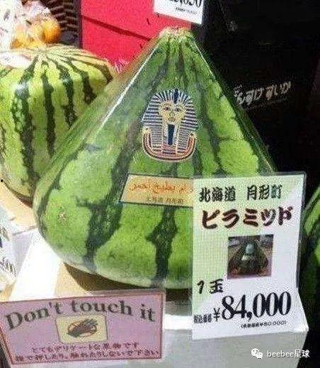 我是吃瓜群众5151