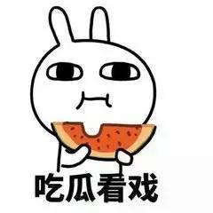 吃瓜群众做伪证,伪证成疑云缭绕的焦点