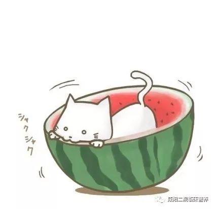 吃瓜群众可爱头像动漫版,吃瓜群众动漫头像大揭秘